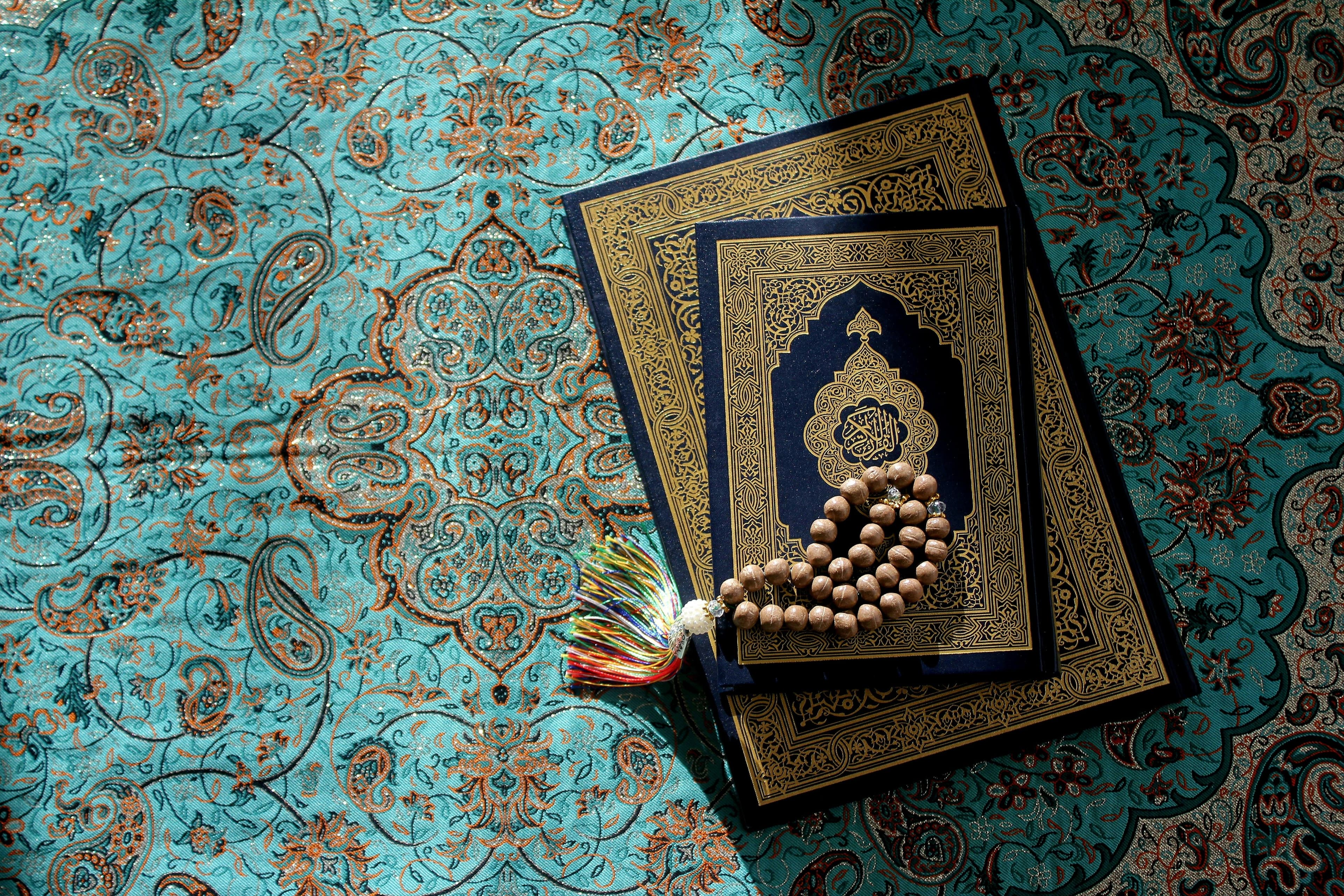 نور القرآن بين يديك